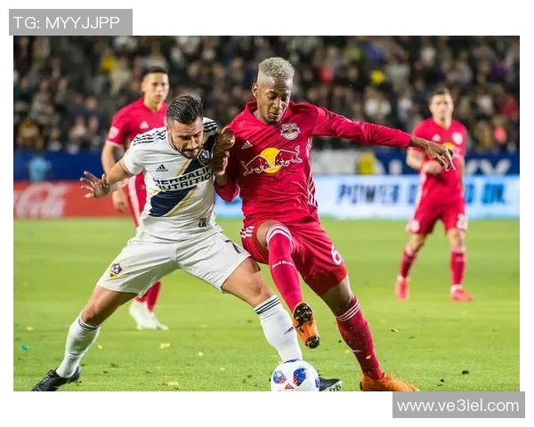 纽约城的繁华与伐木工的坚韧：城市与自然的对话与碰撞